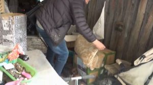 Очередной выводок щенков, брошенных на улице