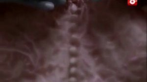 Жестокий ангел заставка