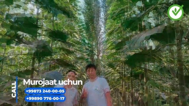 Ekozamin pavlovniya @ekozaminpavlovniya смотреть онлайн