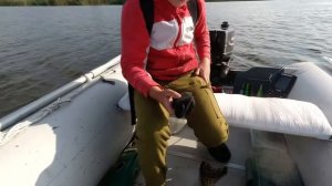 Rapala X-Rap Jointed Shad 13 и новый рекорд по щуке.