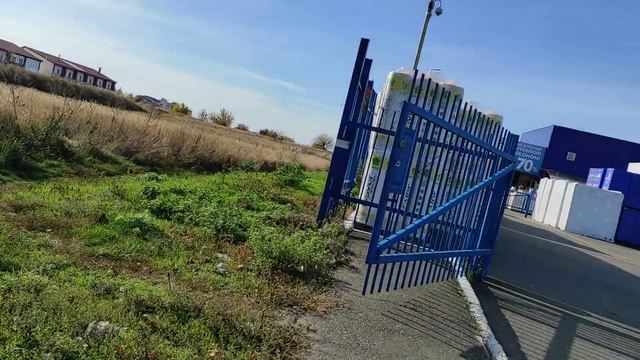 Хотела купить орхидею. Что предлагает Эпицентр смотреть онлайн