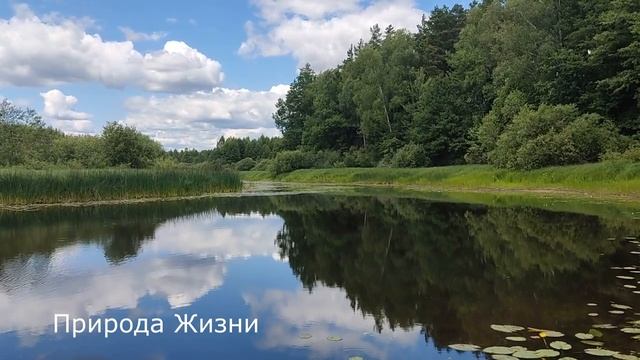 Медитация на расслабление и успокоение. Исцеление Звуками Природы. Релаксация. Все очень просто. смотреть онлайн