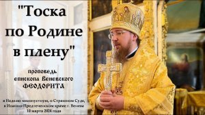 "Тоска по Родине в плену". Епископ Веневский Феодорит.