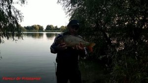 Семейная рыбалка на Дунае. Ловим сазана и сома.