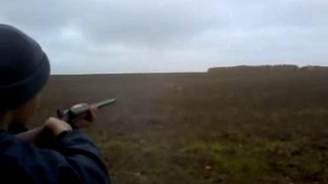 тоз бм16(1).mp4 смотреть онлайн