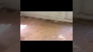 Вызов духов медсестра энн