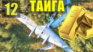 ОДИН в ТАЙГЕ ЗИМОЙ МОРОЗ НОЧЬ ЗОЛОТО НА БОРТУ В ПОИСКАХ ЕДЫ СУДЬБА ПОСАДКА в ЛЕСУ ВЫЖИВАНИЕ 12