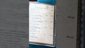 Поезд Барнаул - Москва 95