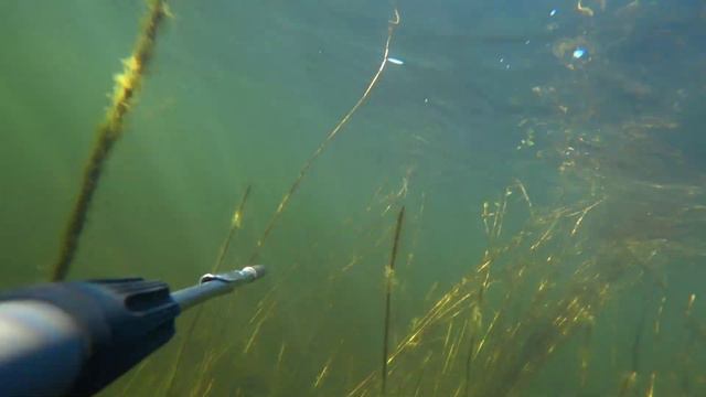 подводная охота на щуку, отличный прозрак. ростовская область смотреть онлайн