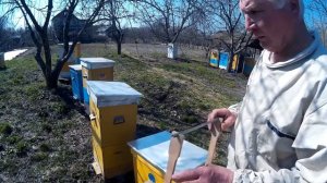 Эффективные Инновационные Ульи Василия Приятеленко, Киев, Украина, Апрель 2017