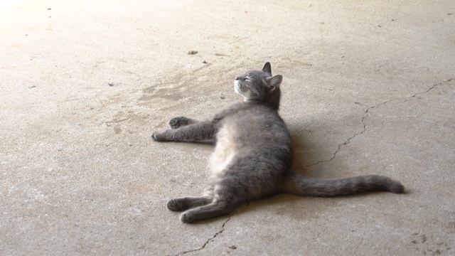 Тёплый сезон - лучшее время для бетонных работ смотреть онлайн