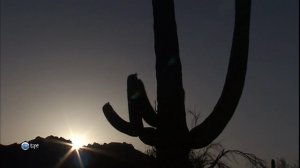 Всё об Америке «Аризона» (документальный сериал, 2003-2007)