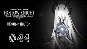 Нежный цветок | Hollow Knight | Прохождение #44