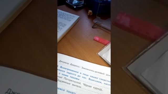 Я делаю уроки. В ПЕРВЫЙ РАЗ Я ПОКАЗЫВАЮ СЕБЯ!!!!!!!!!!!!!!¡ смотреть онлайн