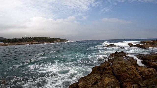Макрель, два месяца спустя. Морская рыбалка с берега в Южной Корее. 삼치낚시