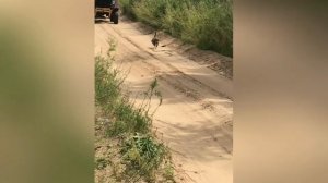 Песня «Малая Родина»