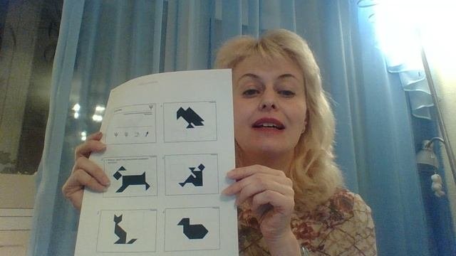 Познавательные процессы. Мышление