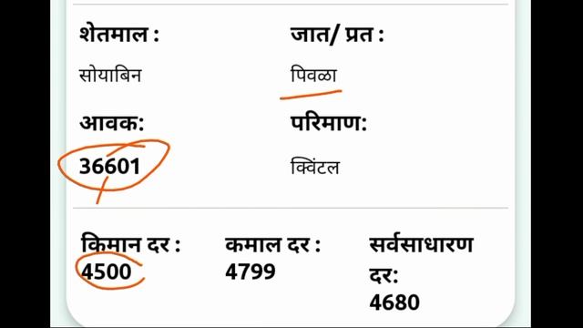 01 Nov 2023 latur soybean bazar bhav today | आजचे सोयाबीन बाजार भाव लातूर 2023 смотреть онлайн