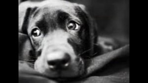 МЫ В ОТВЕТЕ ЗА ТЕХ