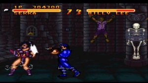 Double Dragon V: The Shadow Falls (SNES) Sekka