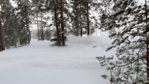 BMW X5 G05 i40 Test Drive in the SNOW