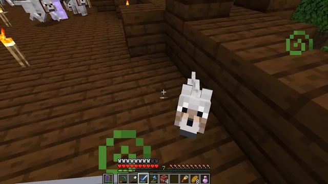 Turning on the Team AGAIN! - Minecraft Last Life: Day 6 смотреть онлайн