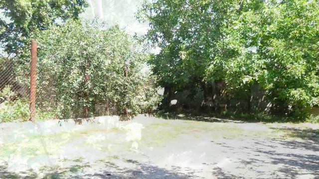 Идём по парку и улице Речной в посёлке Гвардейское Крым Симферопольский район - 23 июля 2020 год смотреть онлайн