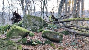 Видео 46 (часть 5) - Плиточный дольмен с боковым отверстием (Тхагапш)