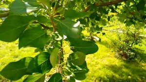 Приспособление, из старого поролона и пластика