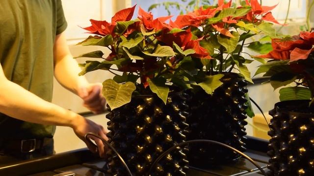 Новая система капельного полива Praktica | Обзор смотреть онлайн