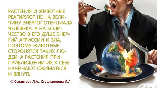 Как взаимодействует ЧЕЛОВЕК и ПРОРОДА в современном мире Секлитова Л А  Стрельникова Л Л
