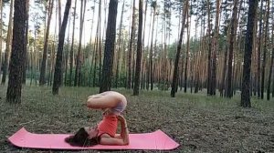 Йога в лесу: лотос без рук, асаны для спины