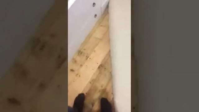 Раскрой ковролин смотреть онлайн