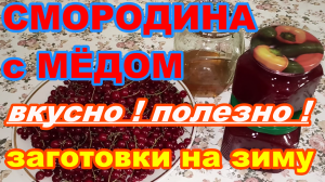 Красная смородина с МЁДОМ ! ВКУСНО ! и ПОЛЕЗНО ! Заготовки на ЗИМУ ! Простой рецепт !