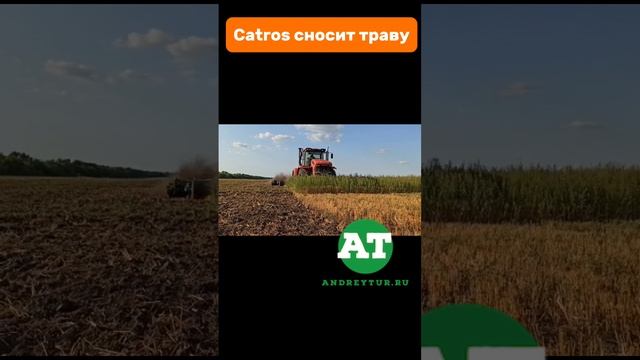 Catros сносит траву #amazone #tillage #catros