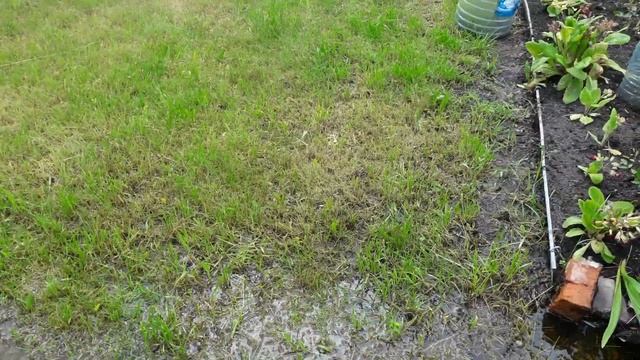 Участок затопило. Сколько будет стоять вода? смотреть онлайн