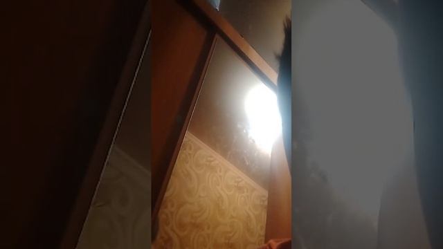 играем и проходим!