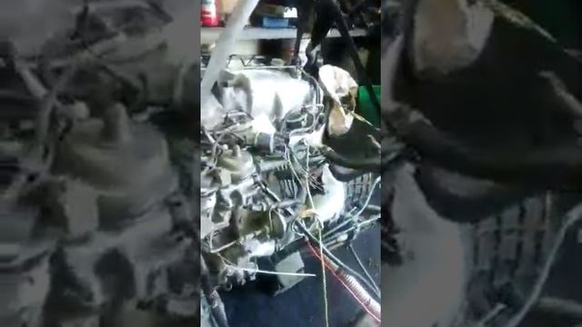 Двигатель MITSUBISHI DELICA P25V 1997 4D56T (JC3869) SM3739 4WD ТНВД МЕХ. смотреть онлайн