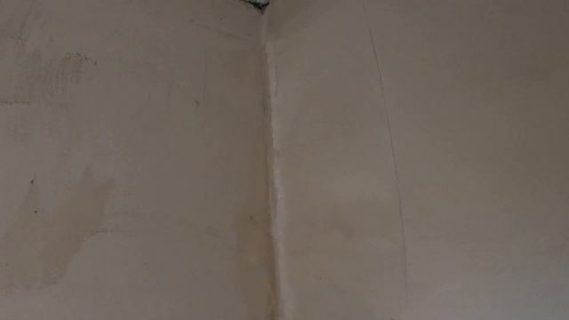 Idei și sfaturi Cum sa tencuiesti perfect.. Tencuiala în strat subțire cu mp75 смотреть онлайн