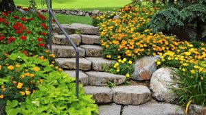 ?Красивые примеры декора на садовом участке / Beautiful ideas for garden decor / A - Video