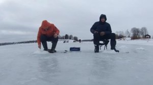 Ловля на зимнюю поплавочную удочку(подлещик, густера, плотва, окунь)