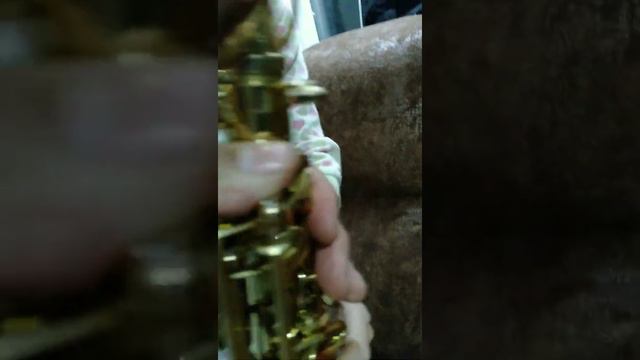 из чего состоит саксофон? собираем саксофон.#саксофонистка #saxophone🎷 #саксофон
