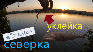 Рыбалка на реке Северка в конце августа 2023. Ловлю уклейку!!!