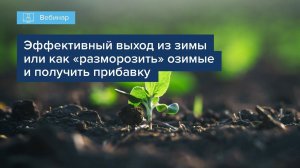 Вебинар "Эффективный выход из зимы или как "разморозить" озимые и получить прибавку"