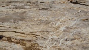 № 190  ВЕРСАЛЬ, столешница Скиф