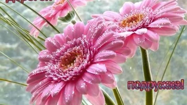 С Днем Рождения, Верочка! смотреть онлайн