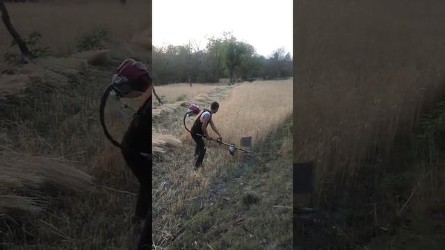 Cutting crop(wheat) with 4stroke brush cutter смотреть онлайн