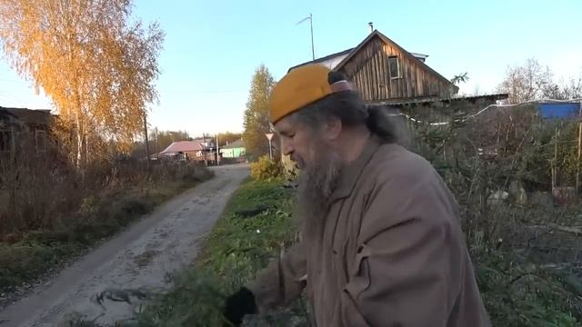 Соберите листья облепихи смотреть онлайн