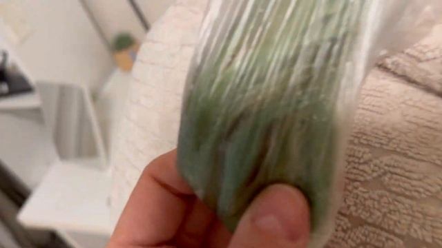 Шок! Позеленели волосы после бассейна / ЛАЙФХАК как ЛЕГКО вернуть блонд !!!! / НАША МАША смотреть онлайн