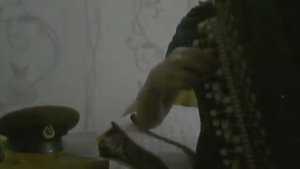 М.Блантер "Катюша" на баяне.